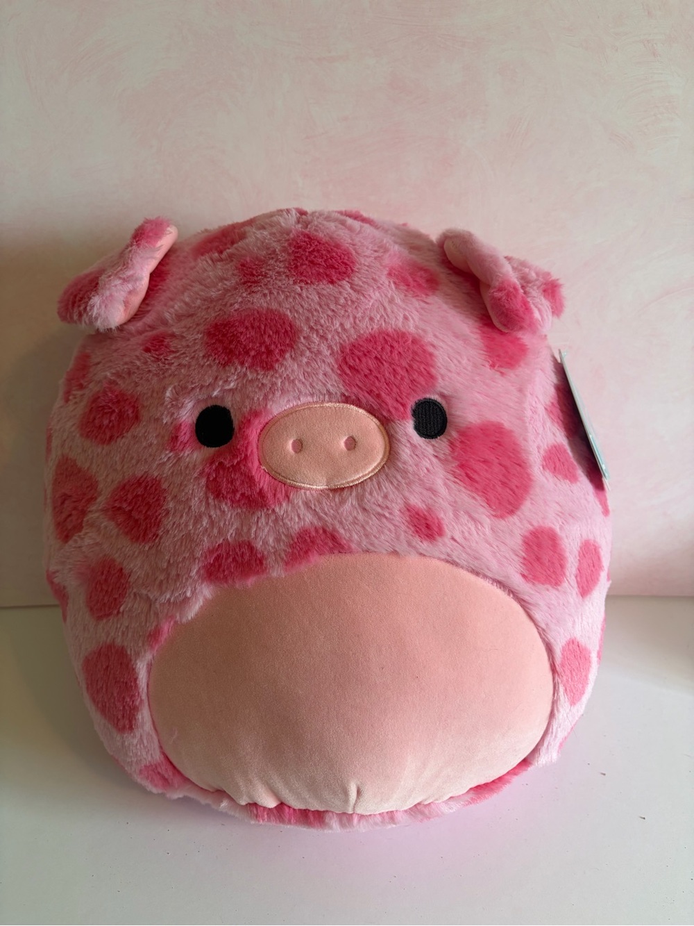 BNWT gwendle squishmallow fuzzy 10” rare